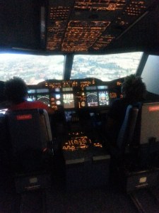 Aviation Simulation